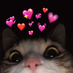 Arastu27's Avatar'