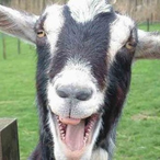 PUZNO_Razemdzik's Avatar'