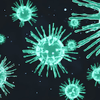 Rachel.DOGSENT's Avatar'