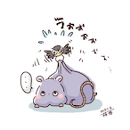 miranosuke.'s Avatar'