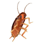 Floefd's Avatar'