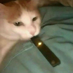 Johneu123's Avatar'