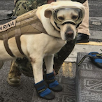 BeepBoopGang's Avatar'