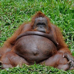 Daesal.RTKC's Avatar