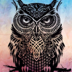 Tylba's Avatar'