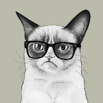splonglebongle's Avatar'