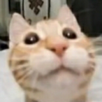 KiindaLiinda's Avatar'
