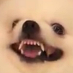 ZombiPrime's Avatar'