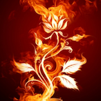 CyclonE--'s Avatar'