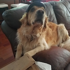 IkeTheSlayer's Avatar'