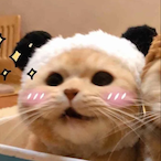 Yelkyyqt's Avatar'
