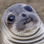 MudSkipper_'s Avatar'