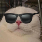 BriIIiant_Noob's Avatar'