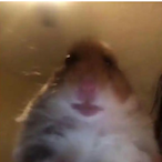 Jaydenxlswy's Avatar'