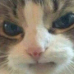 GL.badongl's Avatar'