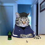 swiingmyf2's Avatar'