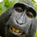 haznlonxbox's Avatar'
