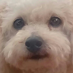 BurgerXPert's Avatar'