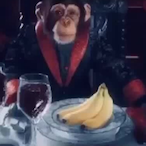 PaperMunkey's Avatar'