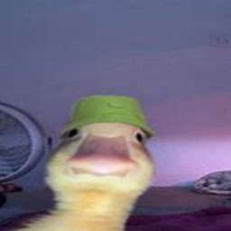 queenesuckout