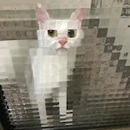 Prime blijk's Avatar'