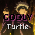 TurtleYZFR's Avatar'