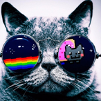 SableBear00941's Avatar'