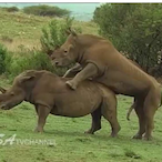 BH_Telekom's Avatar'