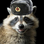 Soviet-Raccoon's Avatar