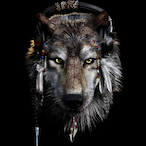 raynrr's Avatar'
