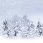 CompleteSnow's Avatar'