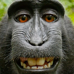 iZiO.'s Avatar'