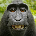 chunke_monkey's Avatar'