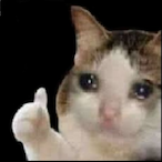 o chan gunns's Avatar'