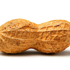 Happy_Nut_Funny's Avatar'