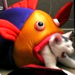 Slammin5am's Avatar'