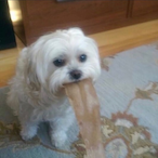 GiMMYYYYYY's Avatar'