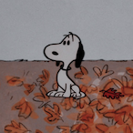 temp-655450877's Avatar'