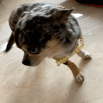 Seeemly.DSe's Avatar'