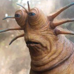 RuneIsGoodOK's Avatar'