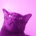 Luca_2490's Avatar'