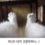 Regret nth's Avatar'