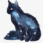 Darkcatz1's Avatar'