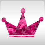 Fxraroni's Avatar'