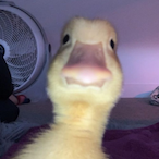 Metro808.....'s Avatar'