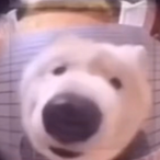 oonxp's Avatar'