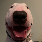 PsYkOoZTxZz's Avatar'