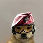 lilhillbilly34's Avatar'