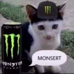 vilewhisperer742's Avatar'