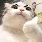 Aktham_sama's Avatar'